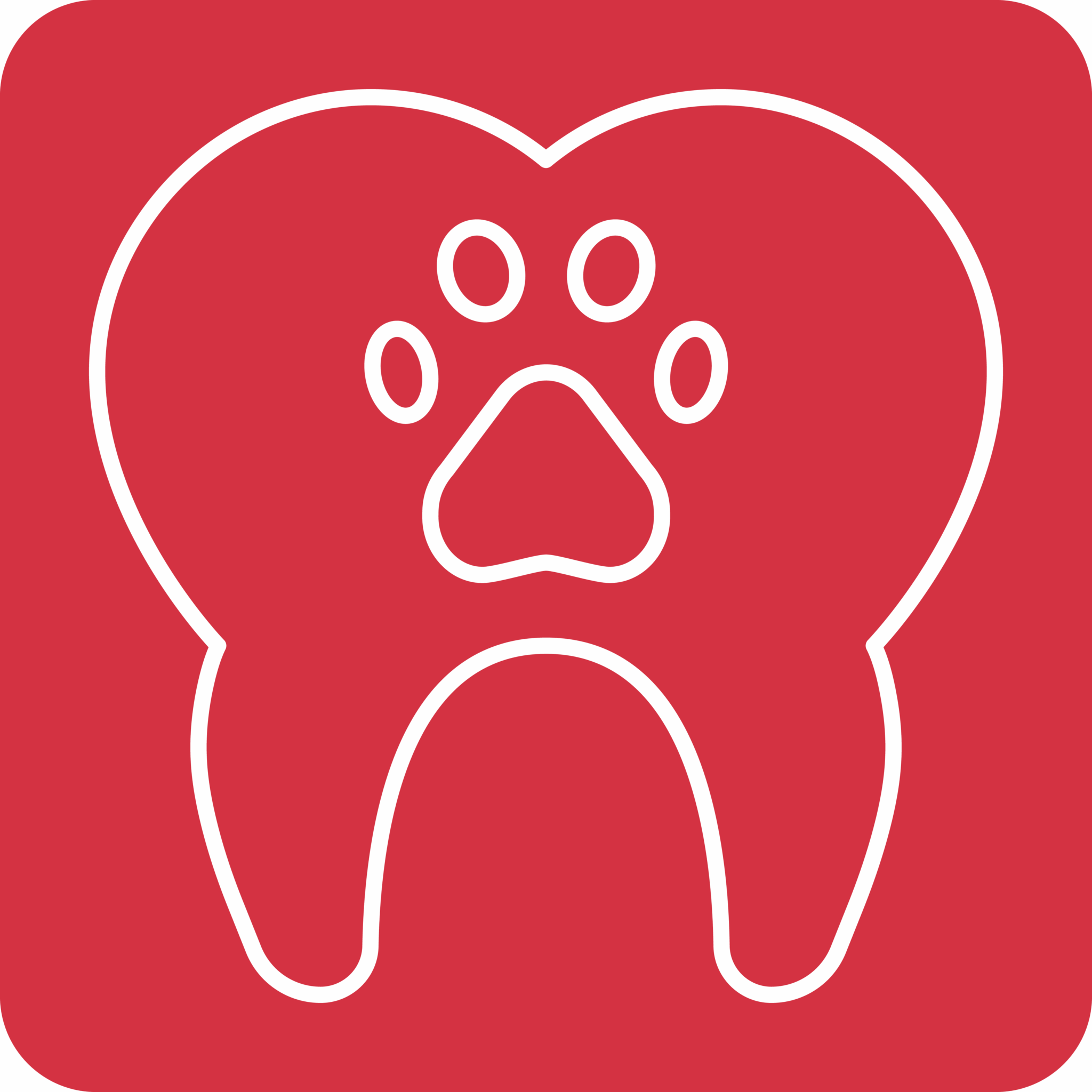 Pet Dental Icon